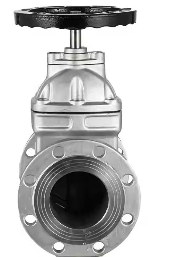 Z45X-16P Stainless Steel 304 Manual Soft Seal Non-Rising Stem Gate Valve ISO9001/CE Certified for Drinking Water Pump