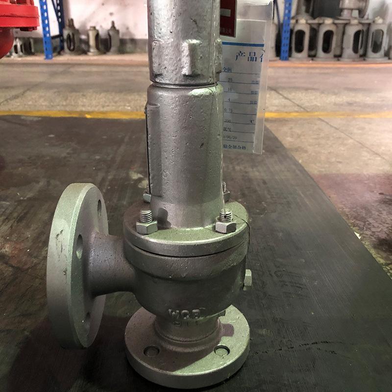 Stainless Steel Cf8 Pressue 3 bar Release Safety Valve Group